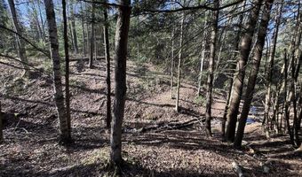 V/L Wildwood Road lot 9, Alger, MI 48610