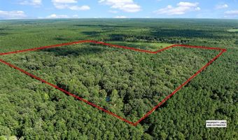 356 Cottage Grove Rd, Benton, LA 71006