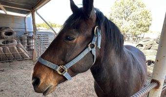 314 Bullock Rd, Ash Fork, AZ 86320