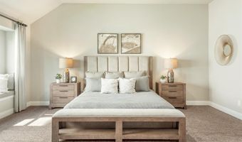 805 Twin Pine Ct, Anna, TX 75409