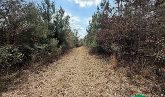 W Factory St, Amite, LA 70422