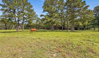 6779 County Road 215, Anderson, TX 77830