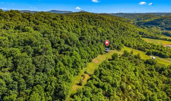 1820 Babbs Mill Rd, Afton, TN 37616