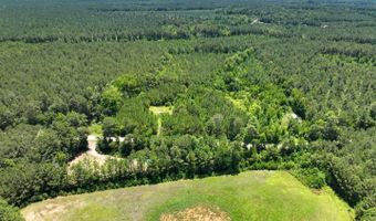 Rooks Road, Atkinson, NC 28421