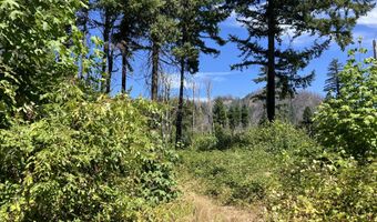 Blue River Dr, Blue River, OR 97413
