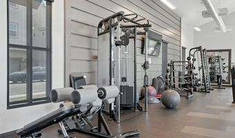 733 W FLINTLOCK Way, Chandler, AZ 85286