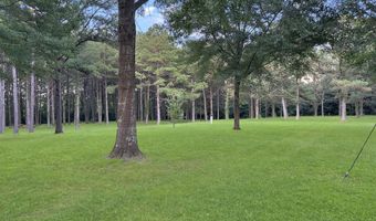 704 Pinola Braxton Rd, Braxton, MS 39044