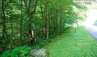 Tbd Tynecastle Drive, Banner Elk, NC 28604
