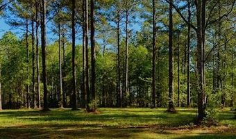 212 Dawson Creek Blvd Lot 87, Arapahoe, NC 28510