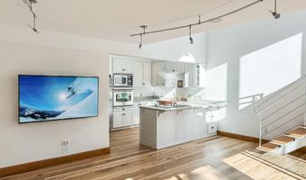 915 E HOPKINS Ave 4, Aspen, CO 81611