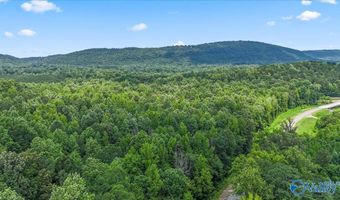 Unit # 0 Murphree Valley Road, Altoona, AL 35952