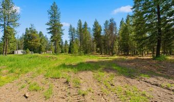 NKA 10-Ac E Parks Rd, Athol, ID 83801