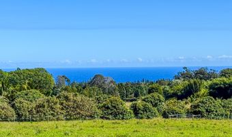 29-613 CHIN CHUCK Rd, Hakalau, HI 96710