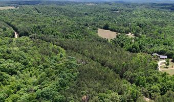 Creek Road lot 1, Ashland, AL 36251