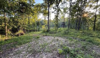 000 Jasmine Ave, Atlanta, MO 63530