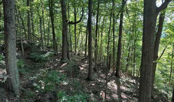 1820 Babbs Mill Rd, Afton, TN 37616