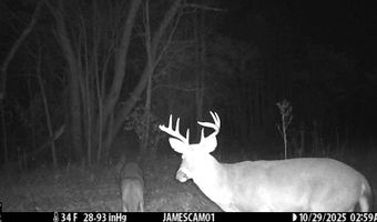 0 W Captina Highway Rd, Alledonia, OH 43902