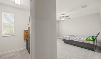 3212 CALVANO Dr, Land O Lakes, FL 34639