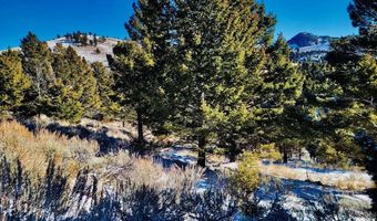 Mining Claim Access, Basin, MT 59631