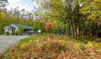 5441 Valley Rd, Alanson, MI 49706