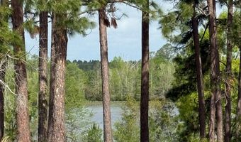 1034 Ga Hwy 30, Alamo, GA 30410