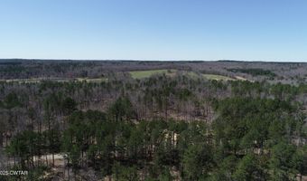 Tract 8 State Route 225, Bethel Springs, TN 38315