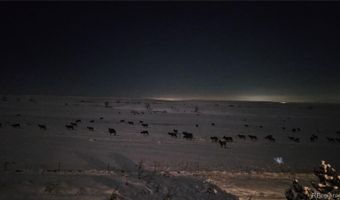 15709 W 95th Pl, Arvada, CO 80007