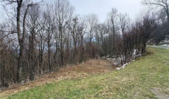 Chappell Farms N lot 6, Banner Elk, NC 28604