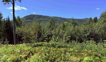 F2 Cave Mountain Road, Bartlett, NH 03812