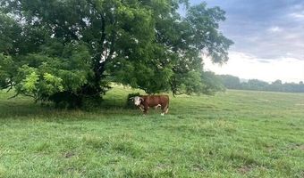 1307 Route Af, Ava, MO 65608