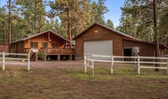 11 Whitetail Rd, Alpine, AZ 85920