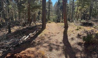 Taos Dr lot 173, Angel Fire, NM 87710