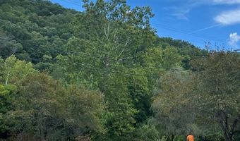 225 Lynfield Pl, Artie, WV 25008