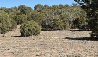 SW N8716, Concho, AZ 85924