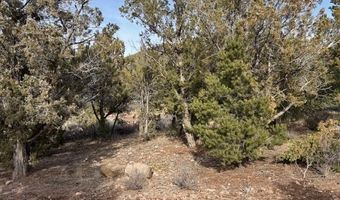 277 N Pinion Cir, Central, UT 84722
