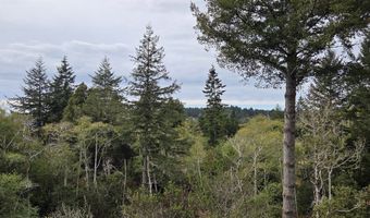 96420 ALDER RIDGE Rd, Brookings, OR 97415