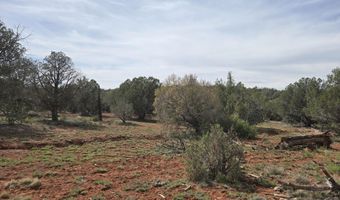 61 Raney Rd, Ash Fork, AZ 86320