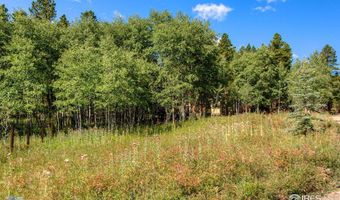 423 Mountain Meadows Dr, Black Hawk, CO 80422