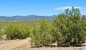 Stagecoach Dr 47 Acres, Ash Fork, AZ 86320