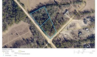 0 Marcellus Rd, Leesville, SC 29070