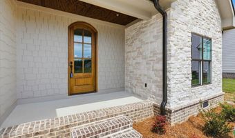 10597 Brownspring Dr 115, Apison, TN 37302