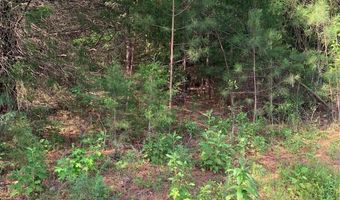 Rock House Road, Blacksburg, SC 29702