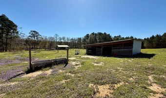 955 S County Road 33, Ashford, AL 36312