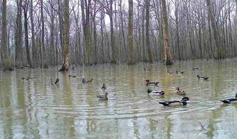 Gun Baoyu Road, Belzoni, MS 39038