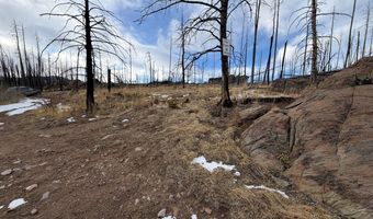 2025 Granite Rd, Bellvue, CO 80512