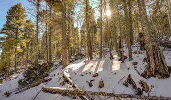 45 And 46 Sacramento Dr, Angel Fire, NM 87710