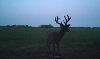 607 Hwy 69, Arma, KS 66712