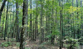 Creek Road lot 3, Ashland, AL 36251