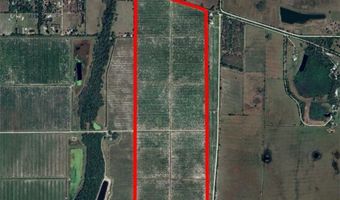 7019 SE Prairie Creek Rd, Arcadia, FL 34266