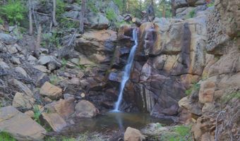 TBD County Road 59, Allenspark, CO 80510